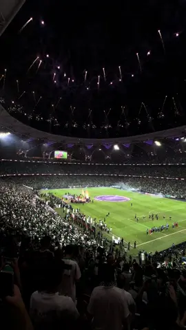 القلعة .. أصبحت خضراء من جديد 💚🏆 #الاهلي #النخبه #اكسبلور #الاهلي💚 #الاهلي_فوق_الجميع #explore #foryou #fyp 