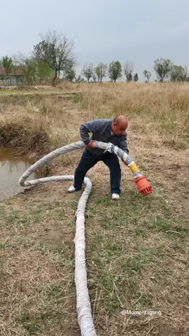 How to empty a swamp