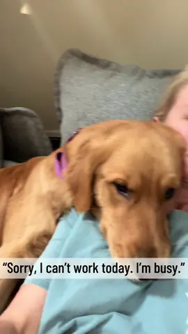 #dogs #dogsoftiktok #hound #hounddog #golden #goldenretriever #pupdog #pupdogtiktok 