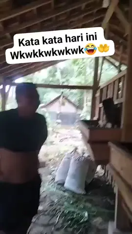 motivasi hari ini  #kambing #kurbankambing #peternakkambing #vidiolucu #viral #fyp 