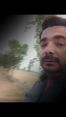 ####viral video tiktok 