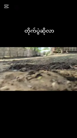 #အမေအိပ်ကို#ရောက်ရင်မပြောတောပါဘူး 