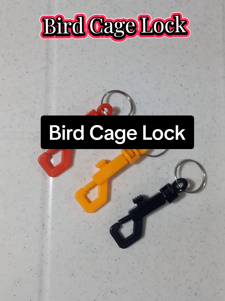 Bird Cage Lock #birdcage #bird #hook #lock #doorlock #cage 
