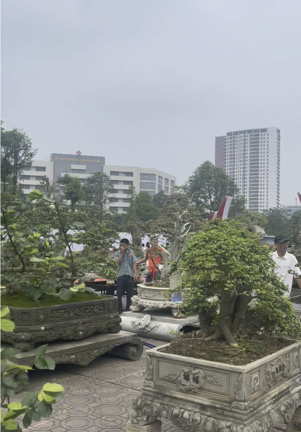 Vẫn rất nóng tại triển lãm Bắc Ninh các giao dịch đang diễn ra liên tục…#bonsai #hoanganhmoc #caycanh #caycanhnghethuat #cảnhđẹpthiênnhiên #xuhuong #xuhuong2025 #fyp #duối_bonsai #duoi 