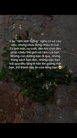 #xuhuong #phatphapnhiemmau 