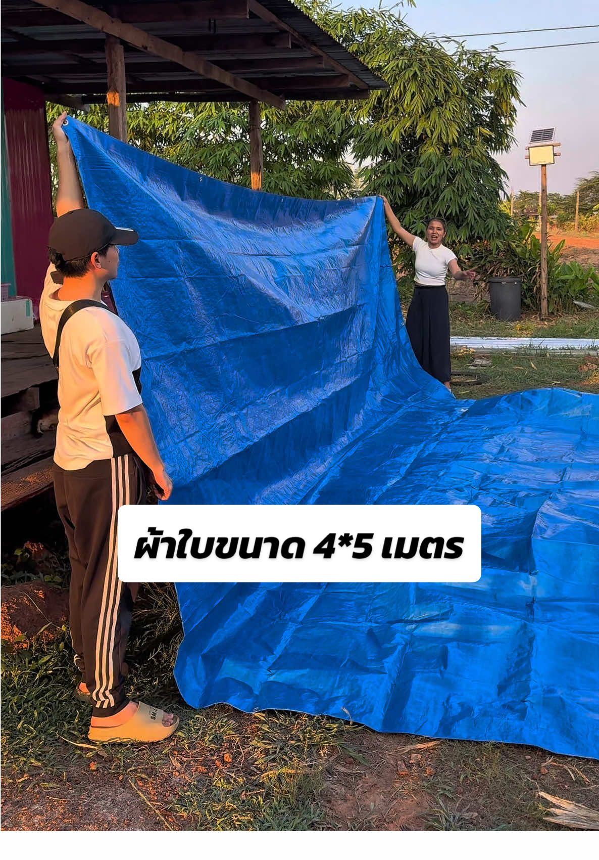 ตอบกลับ @จ๊อดเเจ๊ด🩶🐓  4*5คุ้มมาก #ผ้าใบกันแดดกันฝน #ผ้าใบกันฝน #ผ้าใบกันแดด #TTSเลเวลอัป #ของดีบอกต่อ #โบวี่ฟาร์มเมอร์ออนไลน์ 