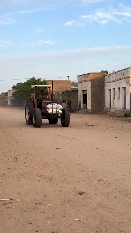 #eritreantiktok🇪🇷🇪🇷 