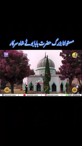 Sohni Te Sachi Sarkar ❤️ #foryou #foryoupage #fyp #qawali #qawwali #harmonium #qawwalilovers #qawwalimusic #trending #nfaklines #nfaklinesofficial #inamsabirmakhaqwaal #1m #naatsharif #nfak_lines 