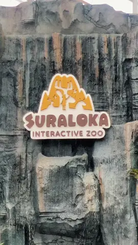 #suralokainteractivezoo #suralokazoo #kebunbinatang #zoo #fyp #tiktok #family #jalanjalanjogja #wisatajogja #tempathitsjogja #jogja 
