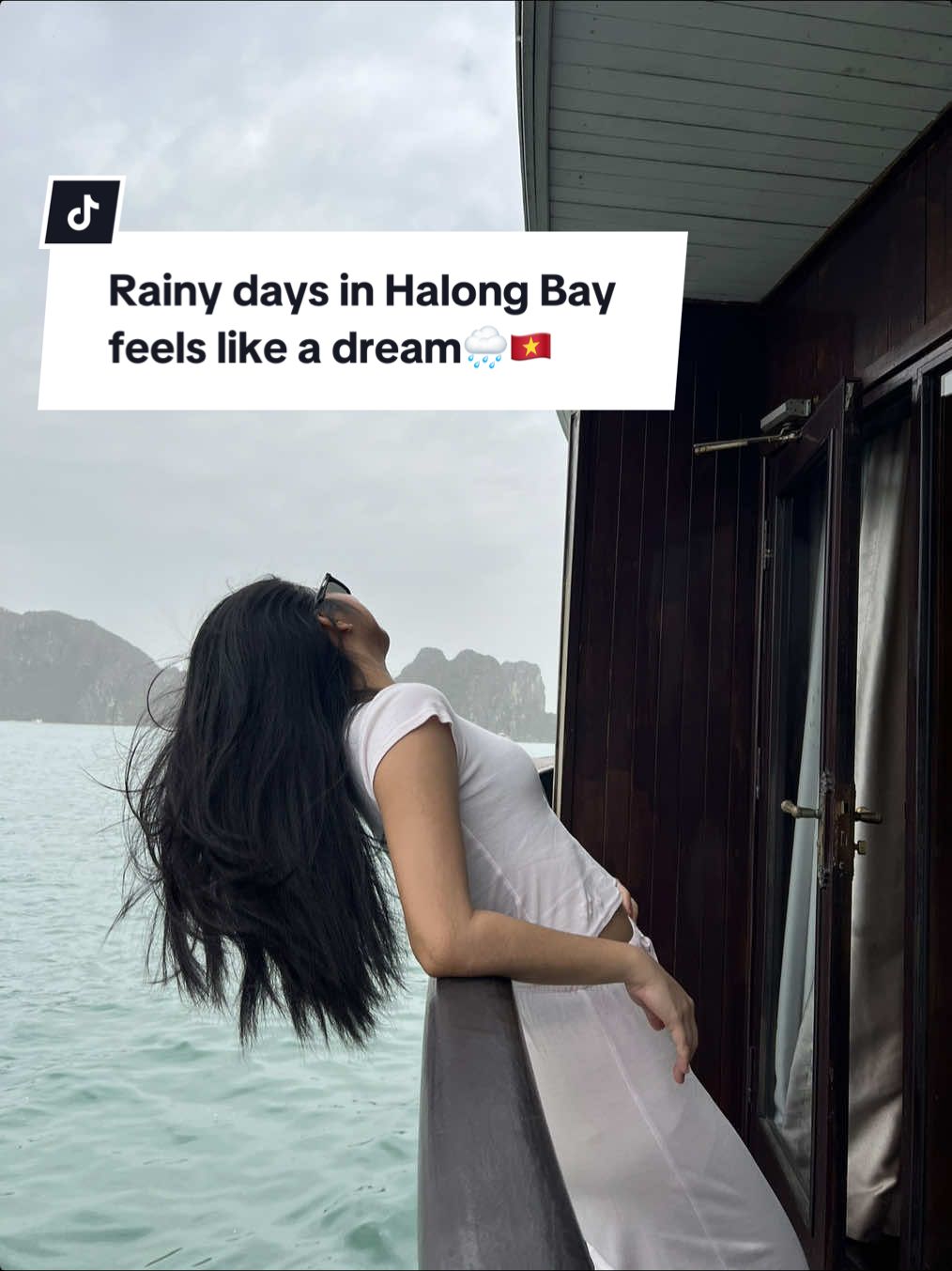 Suddenly it was raining and this was the view from our cruise..living a dream in Vietnam🌧️🌸#vietnam #halong #halongbay #halongbayvietnam #cruise #rain #rainyday #dream #travel #traveltiktok #traveltok 