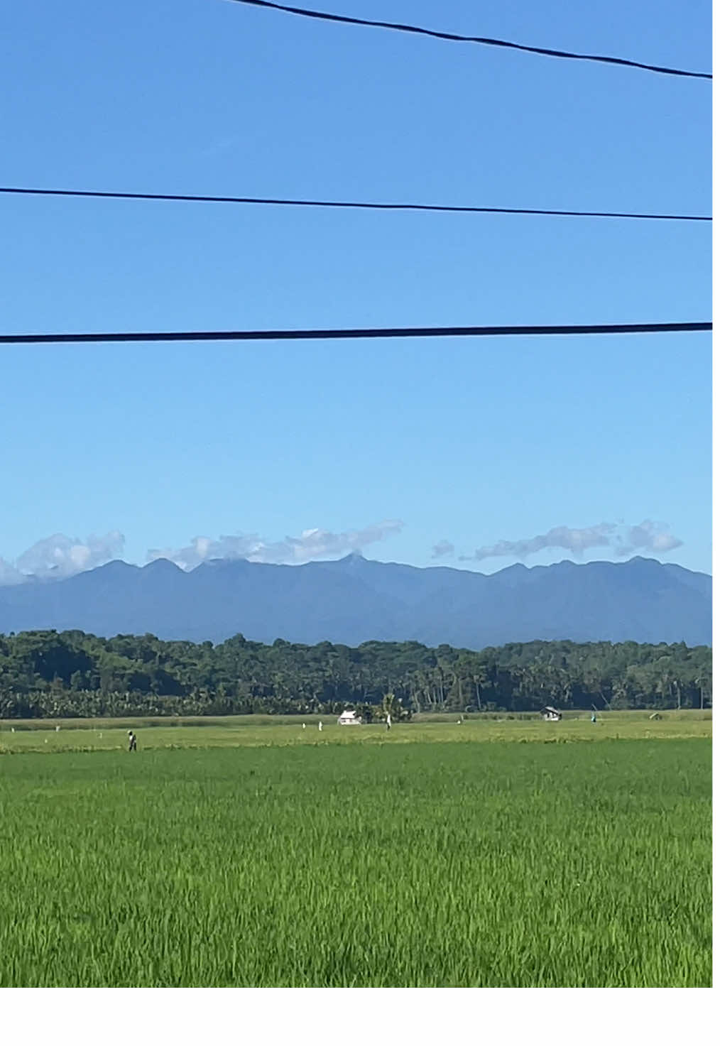 Free to use pang my day mo #randomthings #fyp #prank #foryou #sky #provincelife #fyppppppppppppppppppppppp #freetouse #ricefields 