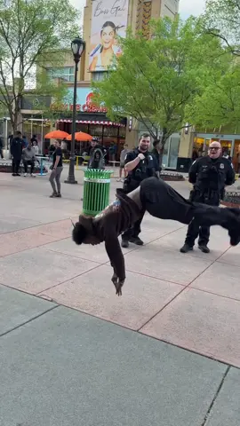 The police were impressed.. #imjustbait #trending 