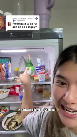 Replying to @Dhayan Camus ✨🧿🪬 bamboo charcoal effectively absorbs any odor or bad smells 👌🏻 #charcoal #activatedcharcoal #odor #odoreliminator #deodorizer #refrigerator 