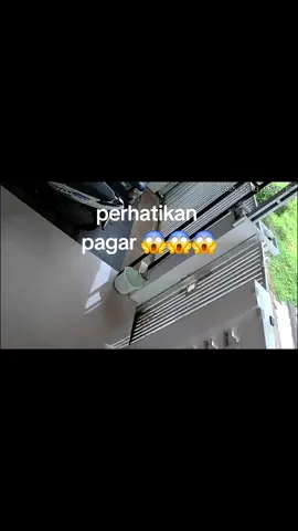 kucing tetangga pinter amat 😂 #horor #himalaya #catlover #kucingpintar 