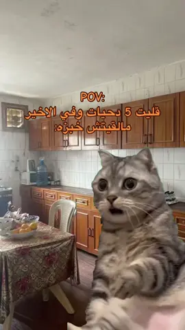 زمر يازمارة✨:#بنغازي_ليبيا🇱🇾 #ريكاشن #مطباخ #ليبيا🇱🇾 #CapCut 