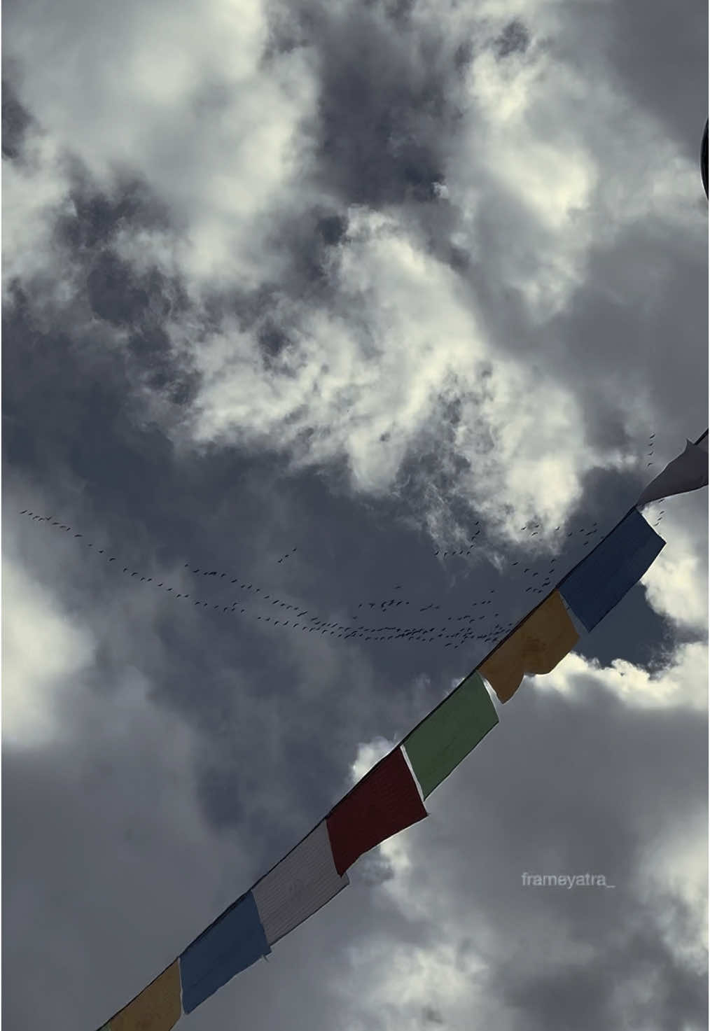 📍Lete,Mustang 🇳🇵 Manchari migration cruising over 20,000feet altitude over the himalayas🏔️ #nepal #discovernepal #visitnepal #himalayas #fyp #frameyatra_ #Travelwithme #naturelovers 