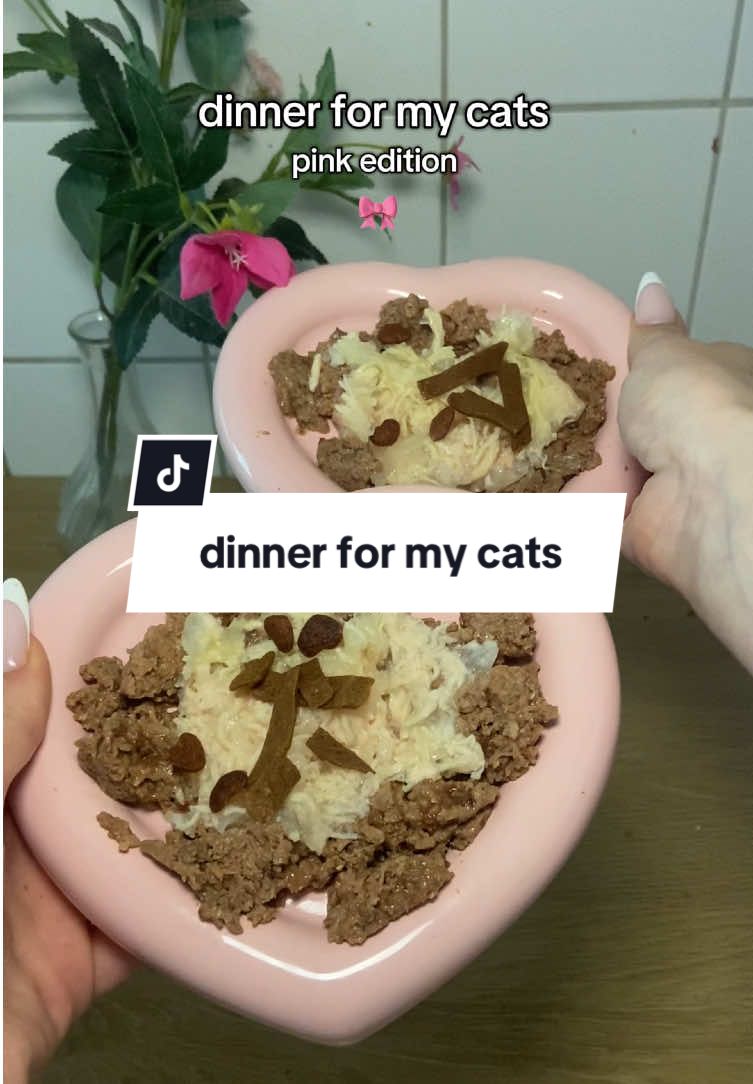 ich muss meinem namen natürliche alle ehre machen.. endlich die pink version 💗🌸💕💞🎀!!! wer ist auch so obsessed mit dem song? #katzentiktok #catmom #katzencontent #katzenhaltung #artgerechtekatzenhaltung #hochwertigeskatzenfutter #feedmycat #katzenfutter #katzenliebe 