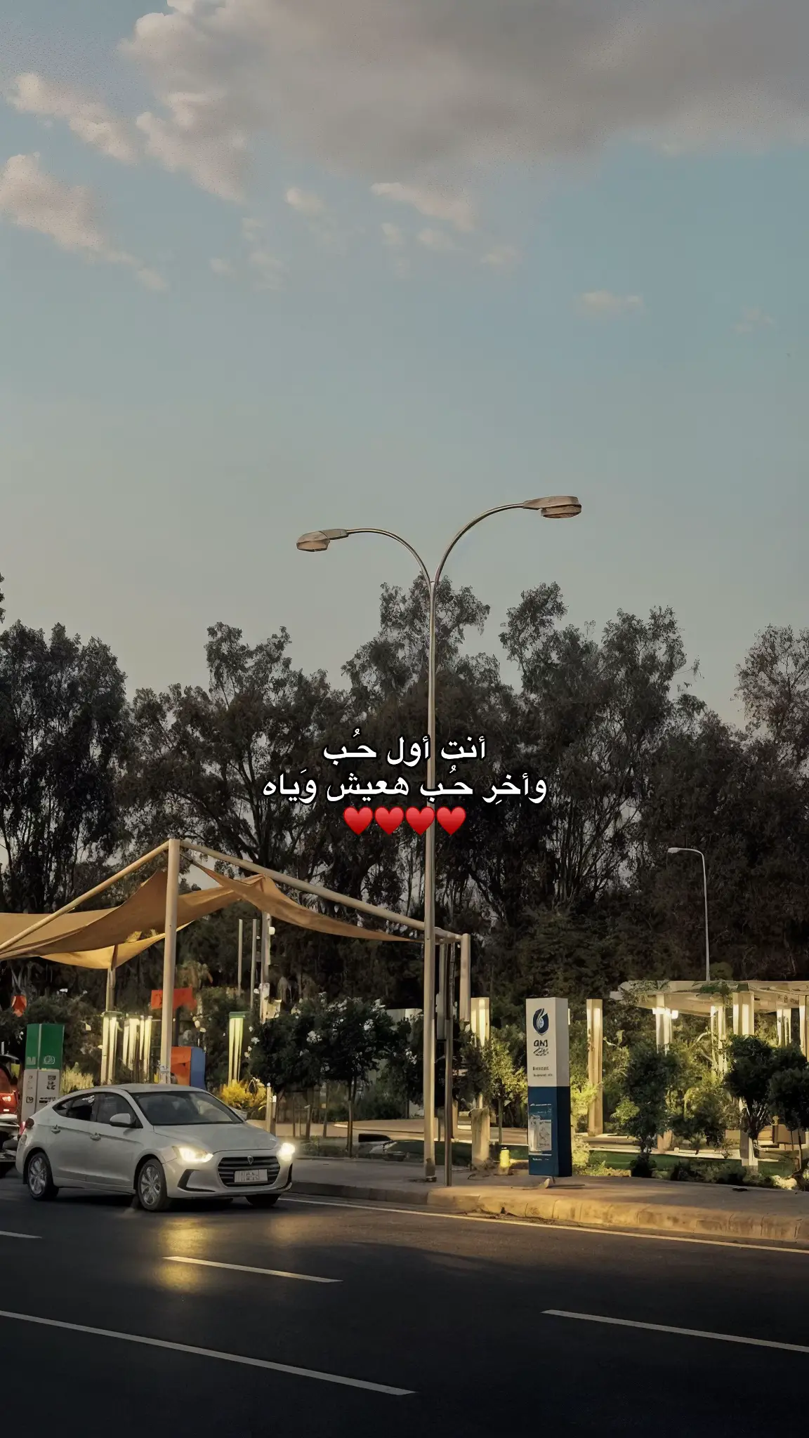 #اكسبلور #foryou #viral #fyp #اليسا #elissa 