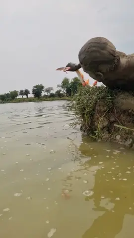 Amazing sandman catching underwater big fish by hand #fish #fishing #sandman #reels #video 