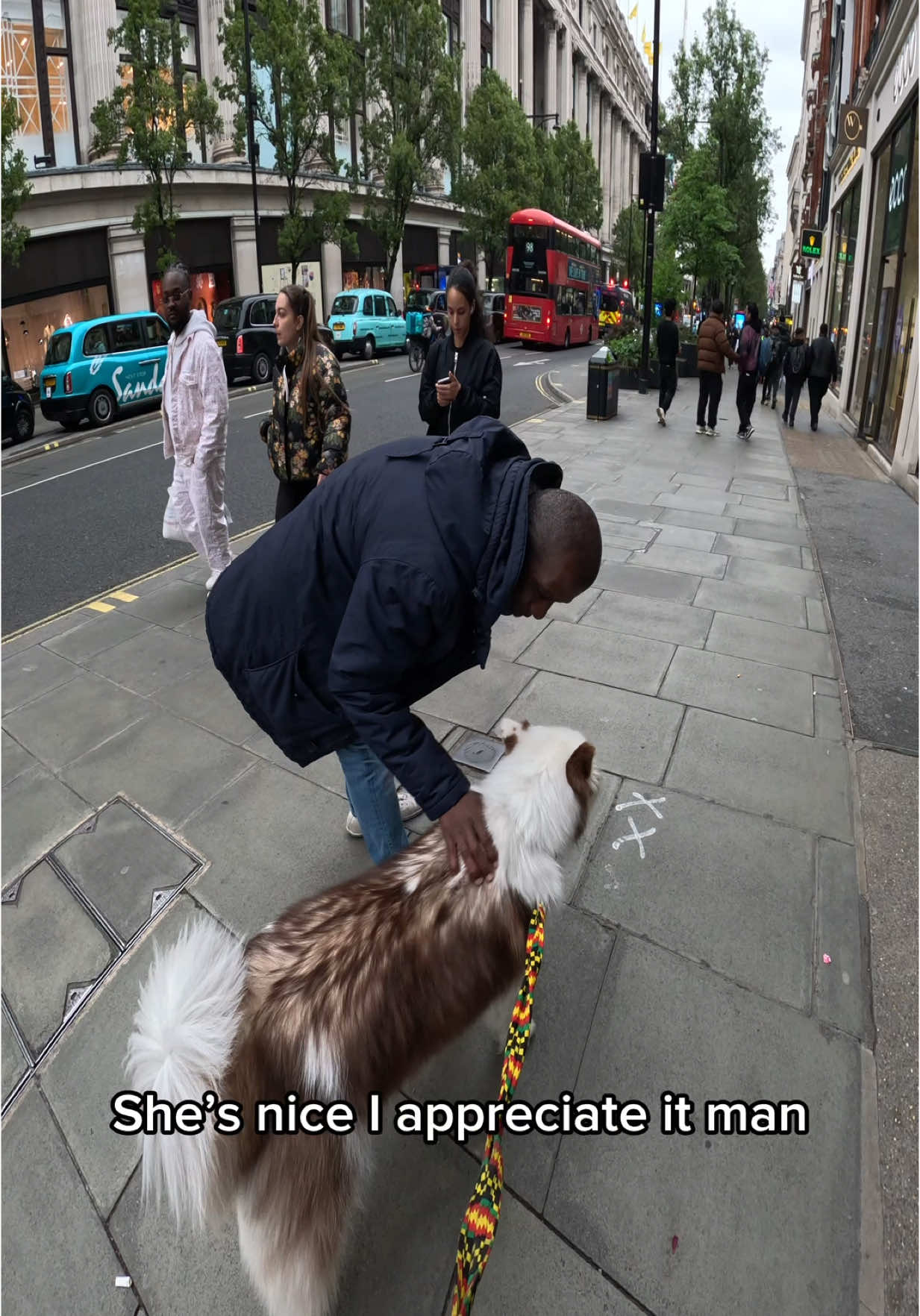 Interactions with Viola!!  #husky #london #viral #pets #violasnow #foryou #oxfordstreet 