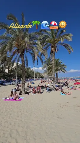 Playa del Postiguet, Alicante #alicante #beachvibes #playa #visitspain #alicantespain #alicantecity #alicante🇪🇸 #spain #españa #spain #sea #sun #palmtrees #fyp 