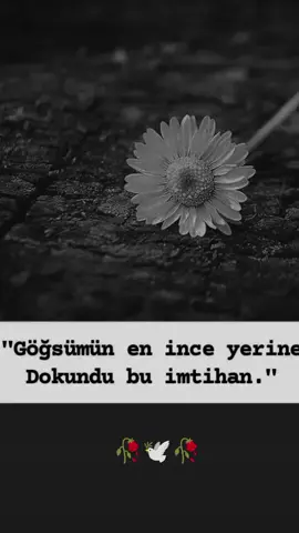 Bu dünya imtihan dünyasıymış!!..