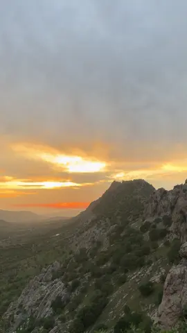 ئێواران و دەنگی چوێلەکەکان لەو کاتەی خۆر خۆی دەخزێنێتە پشت شاخەکان، چوێلەکەکان کۆڕی ئاهەنگێکی نادیار ساز دەدەن. دەنگیان وەک هەناسەی ئەستێرەکان، لە نێوان زەوی و ئاسمان دەنیشێتەوە. گوێ بگرە، هەر چوێلەکەیەک چیرۆکی ڕۆژێکی تەواو بوو دەگێڕیتەوە، چیرۆکی دۆزینەوەی دەنکە گەنمێک، هەڵفڕین بەرەو بەرزاییەکان، یان ترسی چنگی دارستان. ئێمەش وەک چوێلەکەکان، هەریەکە و چیرۆکێکمان هەیە بۆ ئێواران، کاتێک ڕۆشنایی لێمان دەکشێتەوە و تاریکی باوەشمان بۆ دەکاتەوە. ئێواران ئەو ساتەیە کە مرۆڤەکان لە زمانی چوێلەکەکان تێدەگەن، لەناو ئەو دەنگە سەیرەی کە لە هەموو کون و کەلەبەرەکانی ئاسمانەوە دێت. چەند ناسکە ئەو پەیوەندییەی نێوان چرپەی چوێلەکەکان و بێدەنگیی ئێواران، هەردووکیان وەک دوو ڕووی هەمان مەتەڵ، مەتەڵی بوون و نەبوون، مەتەڵی مان و نەمان. لە کۆتایی ڕۆژدا، ئێمە هەموومان چوێلەکەین، گۆرانییەکانمان کورت و کاتین، بەڵام ئەوەی دەمێنێتەوە، ئاوازی لێدانی باڵەکانمانە لە بۆشایی گەردووندا.​​​​​​​​​​​​​​​​
