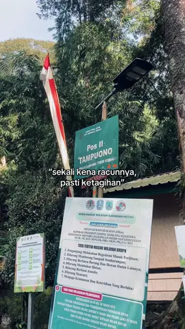 lagi,lagi dan lagi #pendakigunung #foryoupage #fyp #arjunoviapurwosari #tampuonoarjuno #pendakifomo 