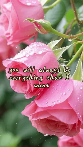 #Love #lovequotes #fypシ 