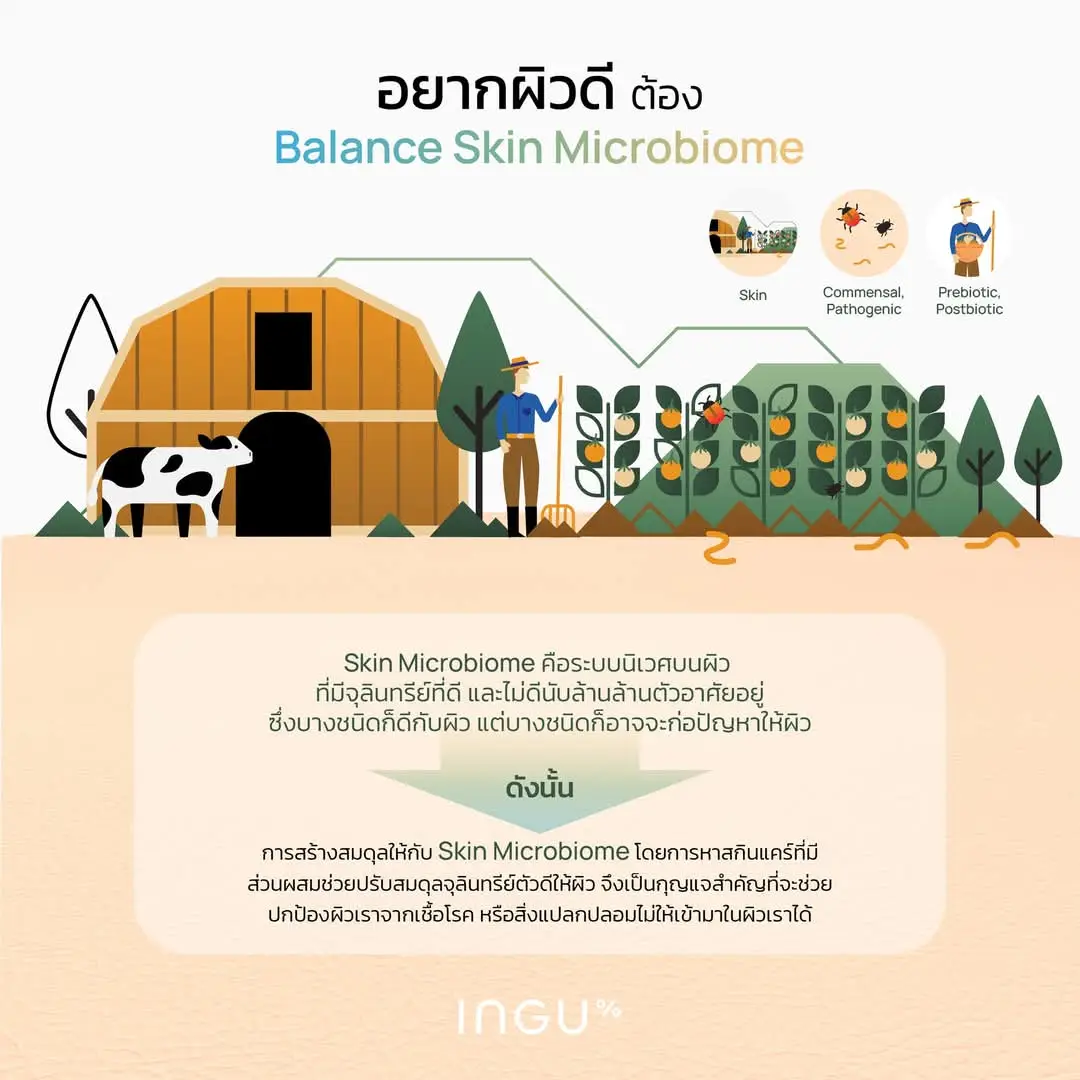 New! ⚖️INGU Essential Series +Biome Balance  สกินแคร์พื้นฐานที่ช่วยปรับสมดุล Skin Microbiome บนผิว 🦠Skin Microbiome คืออะไร? คือระบบนิเวศบนผิวที่มีจุลินทรีย์ที่ดีและไม่ดีนับล้านล้านตัวอาศัยอยู่ ซึ่งบางชนิดก็ดีกับผิว แต่บางชนิดก็อาจจะก่อปัญหาให้ผิว ดังนั้น การสร้างสมดุลให้กับ Skin Microbiome โดยการหาสกินแคร์ที่มีส่วนผสมช่วยปรับสมดุลจุลินทรีย์ตัวดีให้ผิวจึงเป็นกุญแจสำคัญที่จะช่วยปกป้องผิวเราจากเชื้อโรคหรือสิ่งแปลกปลอมไม่ให้เข้ามาในผิวเราได้ 💙ล้างสร้างสมดุล ด้วย Hydrating Gentle Cleanser +Biome Balance 🧬New Innovation “Prebiotic Complex 0.5%” เป็นอาหารของจุลินทรีย์ตัวดี ช่วยสร้างสมดุลผิวให้แข็งแรง รวมทั้งช่วยเติมความชุ่มชื้นและปลอบประโลมผิว  📝วิจัยชี้ว่าช่วยยับยั้งการเจริญเติบโตของเชื้อร้าย Staphyloccocus auerus ที่เป็นสาเหตุของสิว รูขุมขนอักเสบ โรคผิวหนังอักเสบ และการติดเชื้อ ได้ 85% ใน 8 ชั่วโมง และช่วยการเจริญเติบโตของแบคทีเรียประจำถิ่นที่ไม่เป็นอันตราย Corynebacterium xerosis ที่ช่วยป้องกันการตั้งรกรากของเชื้อโรคร้าย ได้ 100% ใน 8 ชั่วโมง 🫧Hero Ingredients - Fermented Jasmine Rice 4,000 ppm สารสกัดจากข้าวหอมมะลิหมัก 30 วันช่วยเพิ่มความชุ่มชื้นแบบล้ำลึกระหว่างล้าง และช่วยเพิ่มความกระจ่างใสให้ผิว - PENTAVITIN® 0.5% สารที่ช่วยดึงน้ำเข้าสู่ผิว ช่วยคงความชุ่มชื้นให้ผิวยาวนาน 72 ชั่วโมง แม้ถูกล้างออกด้วยน้ำ 💰390.-/100 ml และ 790.-/250 ml . 💚บำรุงเสริมสมดุล ด้วย Green Tea Calming Cream +Biome Balance 🧬New Innovation  - Postbiotic Complex 1.0% เป็นจุลินทรีย์ที่ได้จากการหมัก ช่วยเสริมสมดุลผิวให้แข็งแรง ทำให้ลดอาการแห้ง คัน และอักเสบ  📝วิจัยแบบ In-Vivo ที่ให้อาสาสมัครทาครีมที่มี Postbiotic Complex เป็นเวลา 57 วัน ชี้ว่าช่วยลดการระคายเคืองจากปลายประสาทหรือลดการปล่อยสารอักเสบจากเซลล์ประสาทได้ถึง 41% ภายใน 6 ชั่วโมง และลดการอักเสบของผิว ลด TNF-α (สารอักเสบหลัก) ได้ถึง 41% - Prebiotic Complex เป็นน้ำตาลชนิดพิเศษที่เป็นอาหารของจุลินทรีย์ตัวดี ช่วยสร้างสมดุลผิวให้แข็งแรง รวมทั้งช่วยเติมความชุ่มชื้นและปลอบประโลมผิว 📝วิจัยแบบ In-Vivo ชี้ว่าการทา 2 ครั้งต่อวัน เป็นเวลา 28 วัน สามารถทำให้ผิวเนียนนุ่มขึ้น 41% และลดความรู้สึกไม่สบายผิว (แสบ คัน ตึง) 35% 🌱Hero Ingredients - Forest Green Tea 30,000 ppm สารสกัดจากชาอัสสัมอายุกว่า 200 ปี มีสารต้านอนุมูลอิสระสูง ช่วยเสริมการปกป้องผิวจากแสง UV และมลภาวะ - Ceramide Liposomes 2.0% เซราไมด์ 5 ชนิด ที่ช่วยเสริมไขมันดีในชั้นผิว ทำให้เกราะป้องกันผิวแข็งแรงและลดการสูญเสียน้ำออกจากผิว 💰620.-/50 ml และ 1,050.-/100 ml . 🧡ปกป้องรักษาสมดุล ด้วย Super-Light Soothing Sunscreen +Biome Balance 🧬New Innovation “Prebiotic Complex 0.5%” เป็นอาหารของจุลินทรีย์ตัวดี ช่วยปกป้องสิ่งแปลกปลอมไม่ให้เข้าผิว และรักษาสมดุลผิวให้แข็งแรงขึ้น 📝วิจัยแบบ In-Vivo ที่ทำโดยให้อาสาสมัคร 10 คน ทาครีมที่มี Alpha Glucan Oligosaccharide วันละ 2 ครั้ง เป็นเวลา 15 วัน พบว่าช่วยเพิ่มปริมาณของแบคทีเรีย Staphylococcus epidermidis ที่เป็นตัวช่วยเสริมความแข็งแกร่งของผิวต่อมลภาวะและปัจจัยที่ก่อให้เกิดความระคายเคืองได้สูงถึง 147% 📝วิจัยชี้ว่าช่วยเพิ่มจุลินทรีย์กลุ่ม Firmicutes ที่เป็นแบคทีเรียกลุ่มดีได้ถึง 36% ทำให้ช่วยเสริมเกราะป้องกันผิวและลดการอักเสบ 📝วิจัยชี้ว่าช่วยเพิ่มปริมาณของแบคทีเรียกลุ่ม Actinobacteria ซึ่งเป็นกลุ่มที่ช่วยควบคุมสมดุลน้ำมันของผิว ได้ถึง 21% ☀️Hero Ingredients - Encapsulated Cica 1,000 ppm สารสกัดจากใบบัวบก ช่วยต้านอนุมูลอิสระและปลอบประโลมผิวจากการอักเสบ - 7x Hybrid Filters 16.1% สารกันแดดผสมระหว่าง Physical และ Chemical ทั้งหมด 7 ตัว ช่วยปกป้องผิวจากแสง UV ได้อย่างครอบคลุม 💰670.-/50 g และ 920.-/80 g #ingu #inguskin #RebuildYourRoutineWithBiomeBalance #ปรับพื้นฐานฟื้นสมดุลผิว