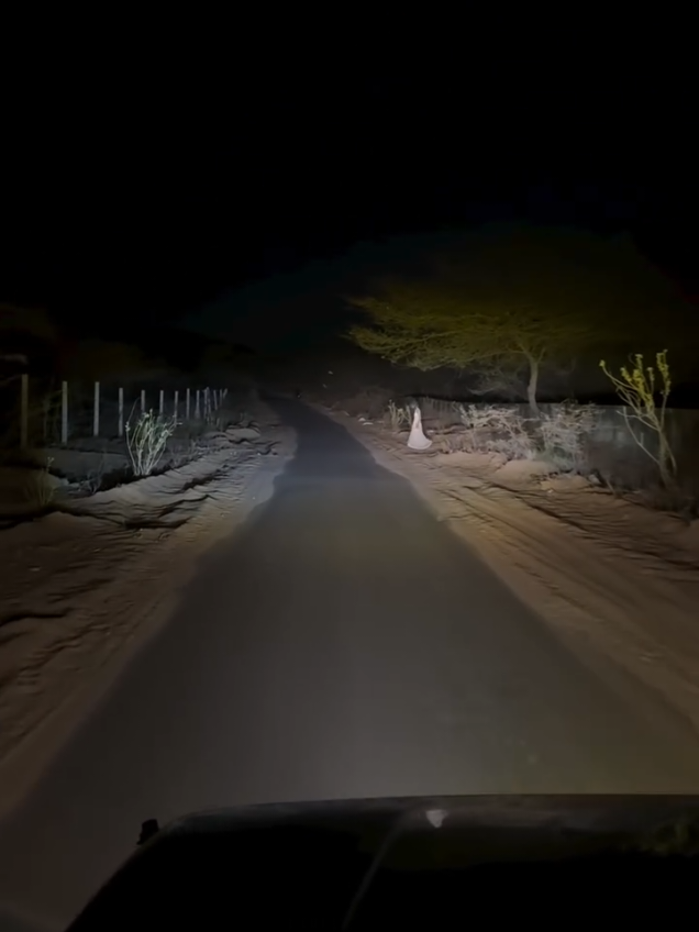 Passing from a haunted road . #hauntedroad #horror #haunted #scary #spooky 