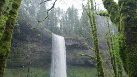 Inspiring background music for your project. Link to full track in header. #project #video #advertising #tv #film #travel #tourism #photography #nature #naturalenvironment