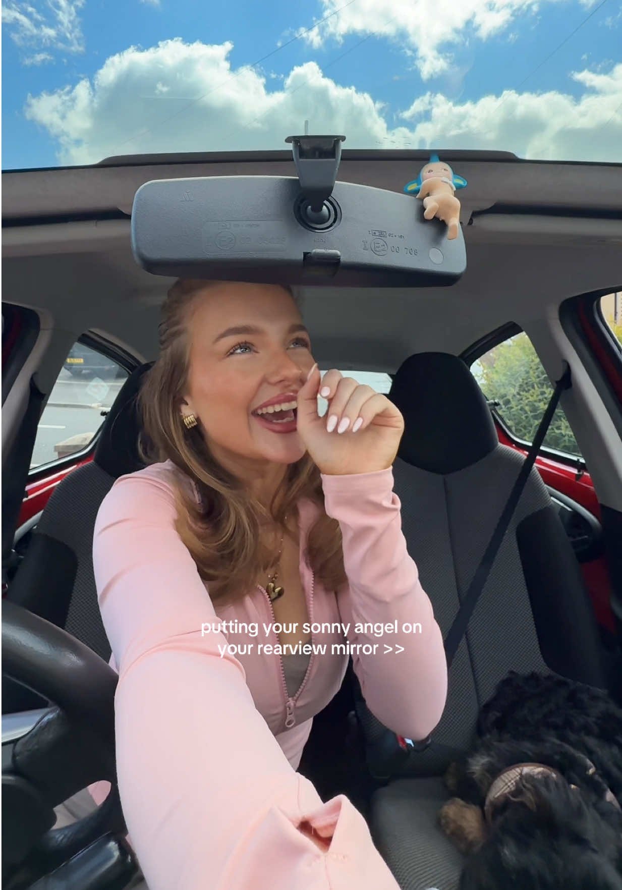 no so cute 🥹😂 #fyp #foryou #sonnyangel #sonnyangeltok #caraccessories 