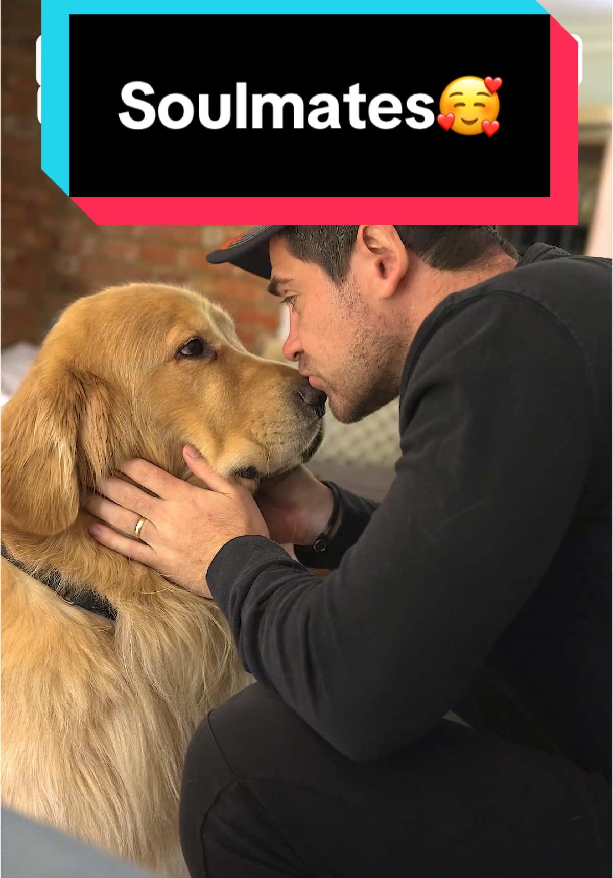 I beg to differ🥰 #goldenretriever @Spot Pet Insurance reassures us as taking care of Marley is my number 1 priority. Pet Insurance may seem like an extra expense, but the peace of mind it provides me is invaluable❤ #getspotcovered #spotpetinsurance #spotpartner