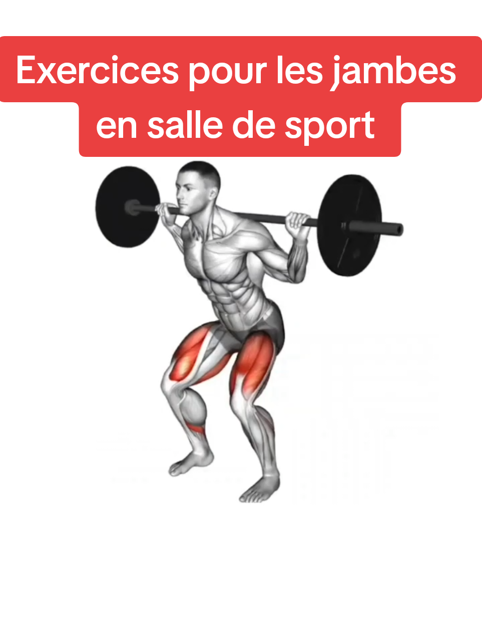 Exercices pour les jambes en salle de sport pour débutants et avancés avec une barre, des haltères et des machines 3 séries x 12 répétitions #jambes #musculation #débutante #haltères #barre 