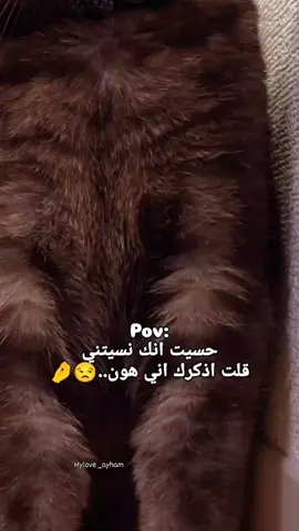 #قلت_اذكرك😜😂