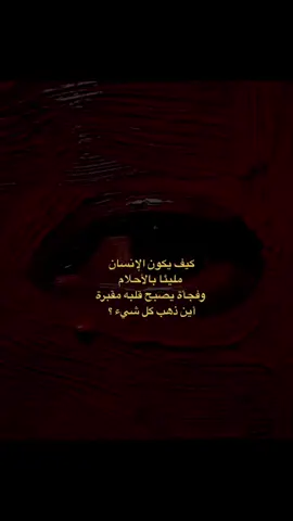 #اقتباسات  #كتابات 