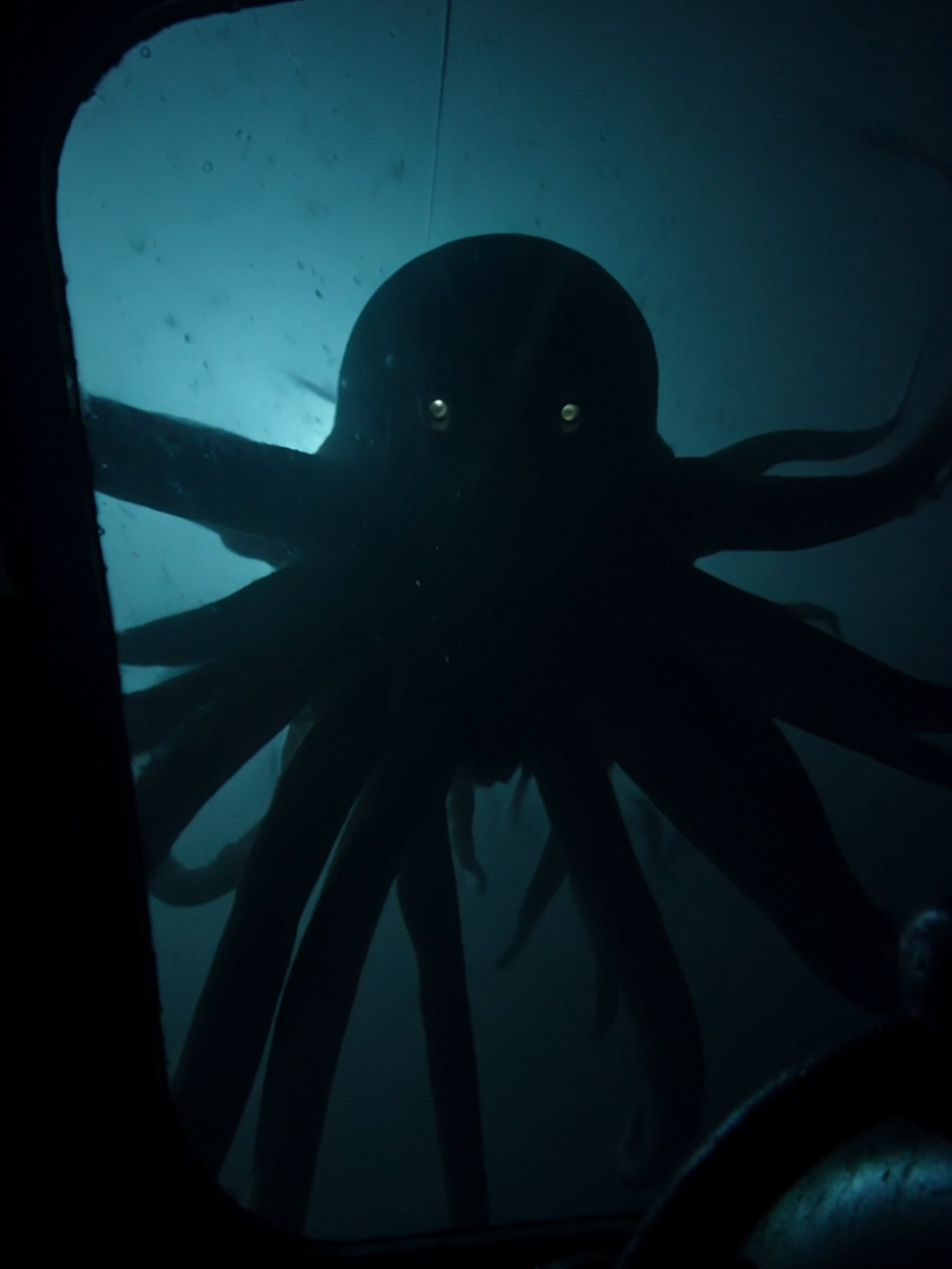 Strange creature captured by submarine while deep sea diving. Alien? or new species? #fyp #aihorror #explore #fear #monster #scared #pov #sea #foundfootage #cryptid
