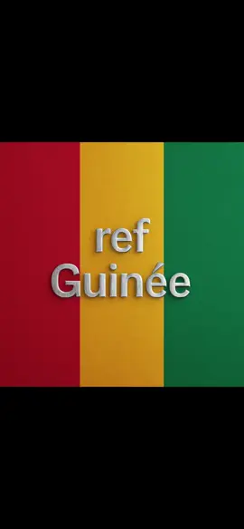 #guineenne224🇬🇳 #fyp #guinéeref 