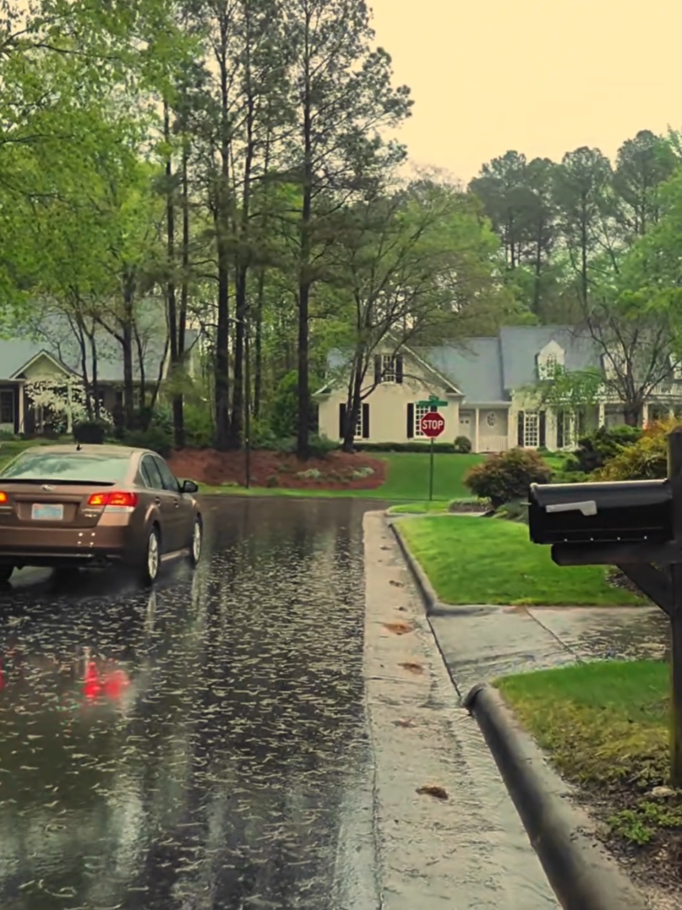Wealthy Neighborhood 🏡🌧️ #🇺🇸 #usa #usalife #fyp #foryou #Aesthetic #vibes #usavibes #america #americandream #yourdream #neighborhood 