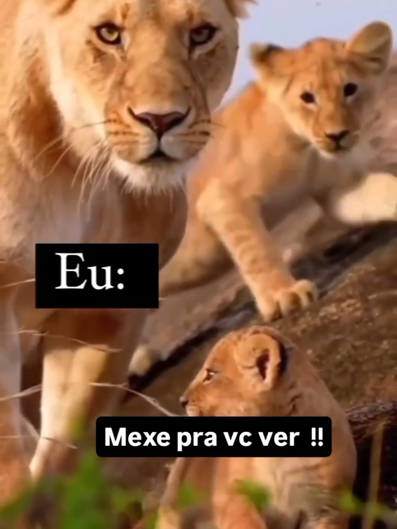 #mae #leoa #amor #filho 