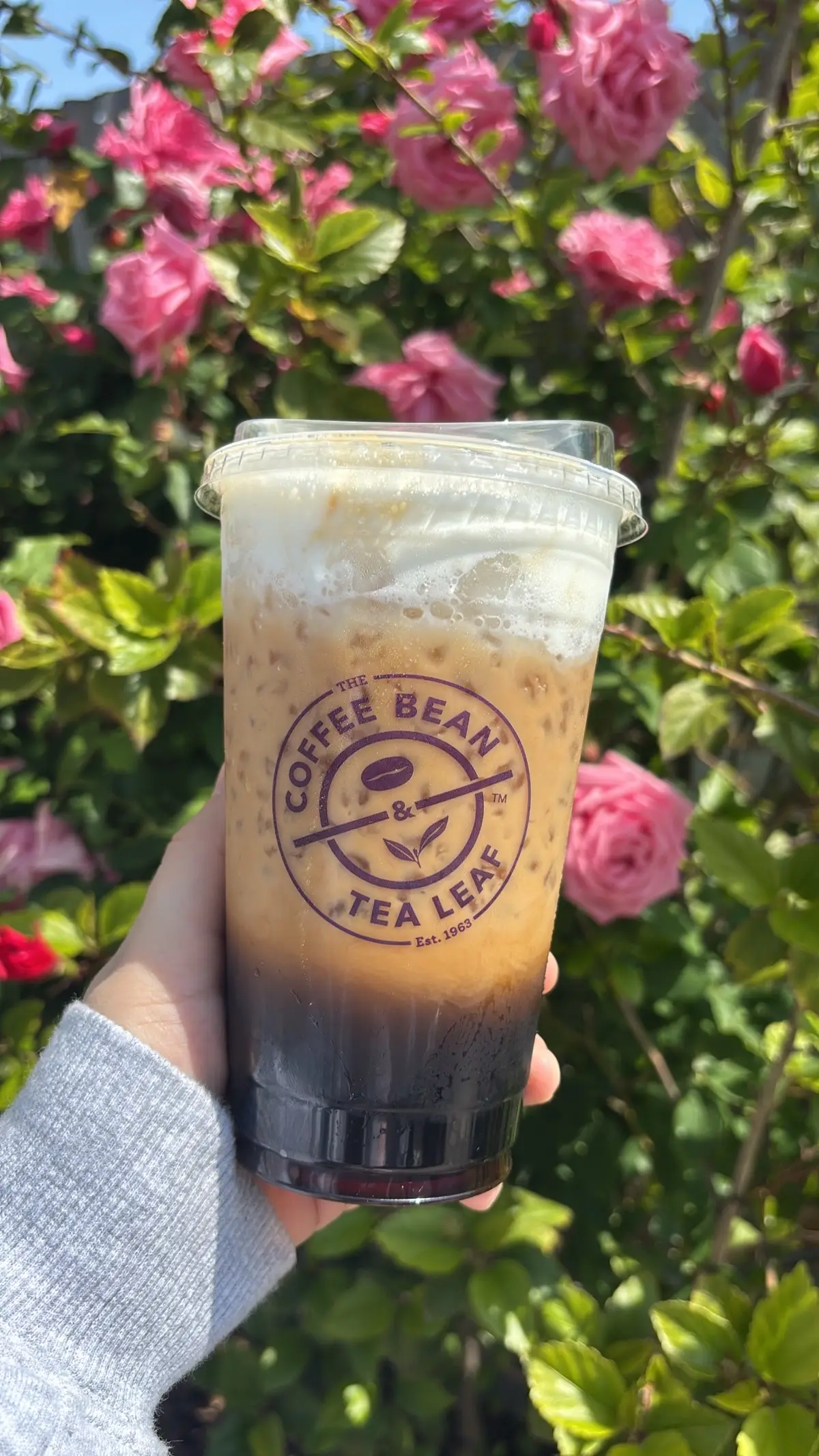 @Sahlt put me on 🤭🤭🤎 #coffeebean #fypシ #coffee 