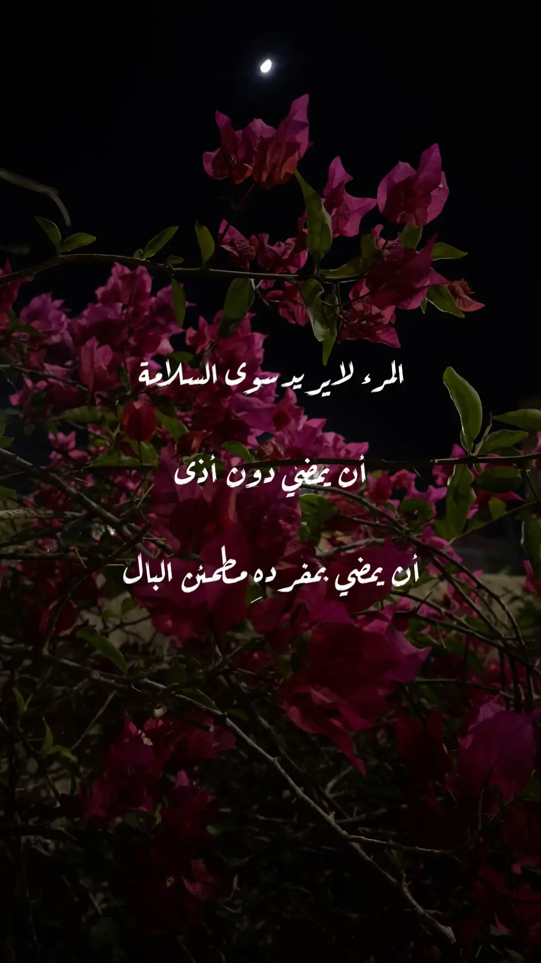 #explore #fyppppppppppppppppppppppp #foryou #fypシ゚ #fyp #الشعب_الصيني_ماله_حل😂😂 #اكسبلور #اكسبلورexplore 