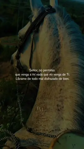 #CapCutMotivacional #CapCut 