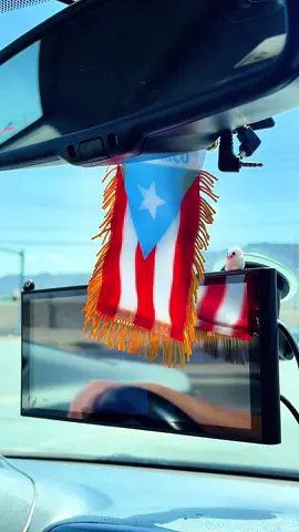 Pa’ que no se te olvide de dónde tú eres… Yo soy de PFnkr. Representa con orgullo boricua con este sticker único — directo pa’ tu carro, laptop o donde tú quieras. #YoSoyDePFnkr #BoricuaPride #StickerBoricua #PuertoRicoVibes #BoricuaStyle #TikTokShopFinds #VinylSticker #BoricuaEnLaCasa #TikTokShop 