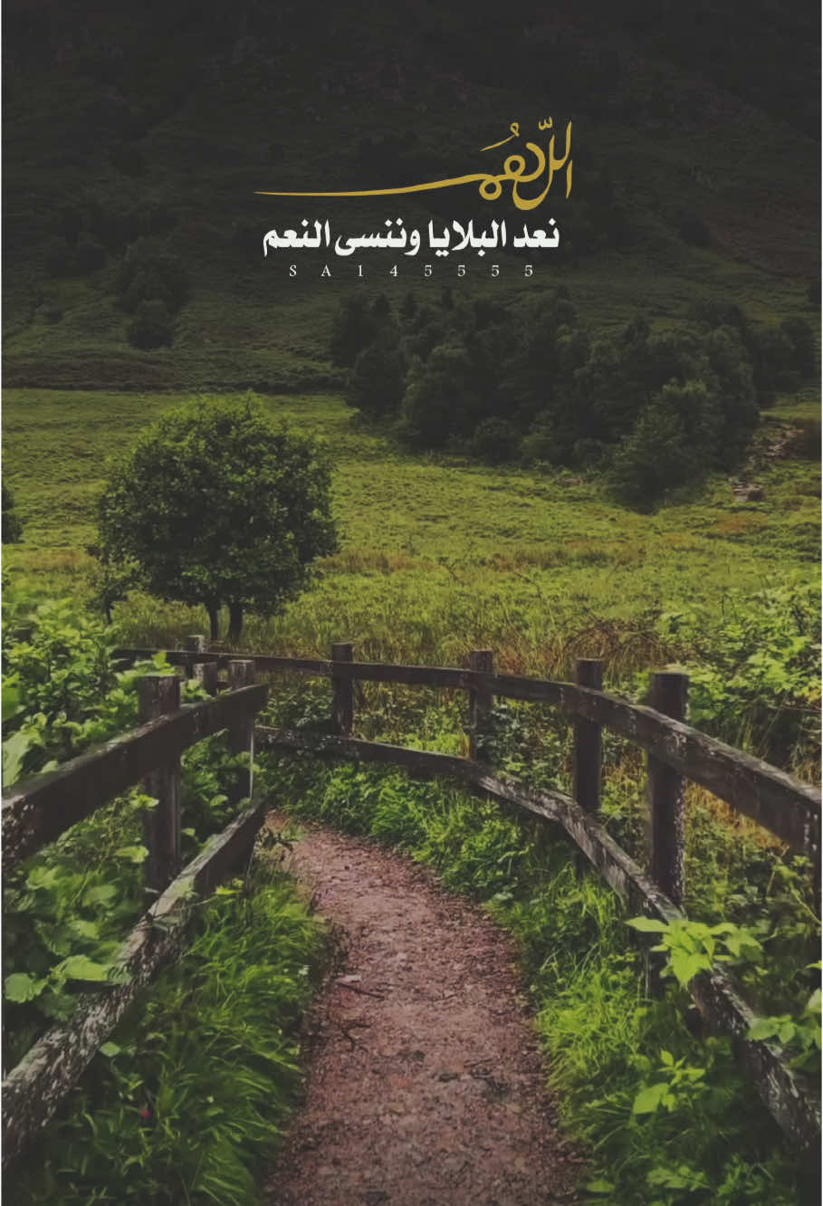 يارب 🤲🤍 #دعاء 