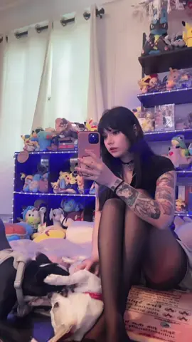 Watch the dogs 👁️👅👁️ getting ready to stream