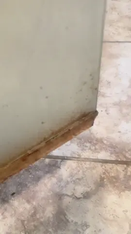 #cleaningtok #clean #CleanTok 