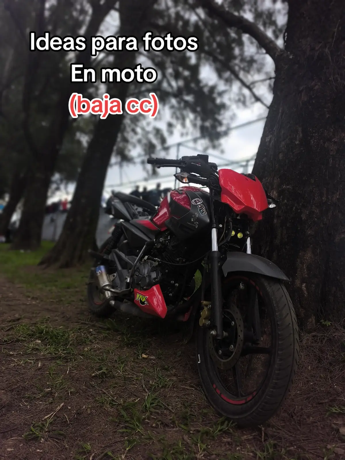 #motorcycle #moto #motos #motor #biker #bikerboy #bikerboys #bike #fyp #fypp #viraliza #viralvideo🔥#fyp #gdl #viralvideos #viralvideotiktok #pulsarns125 #125 #ns #fotos #fotostudio 