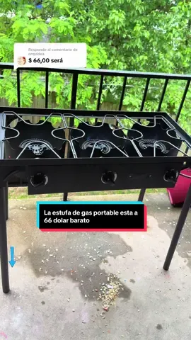Respuesta a @orquídea #estufaportatilagas #anitaceto 